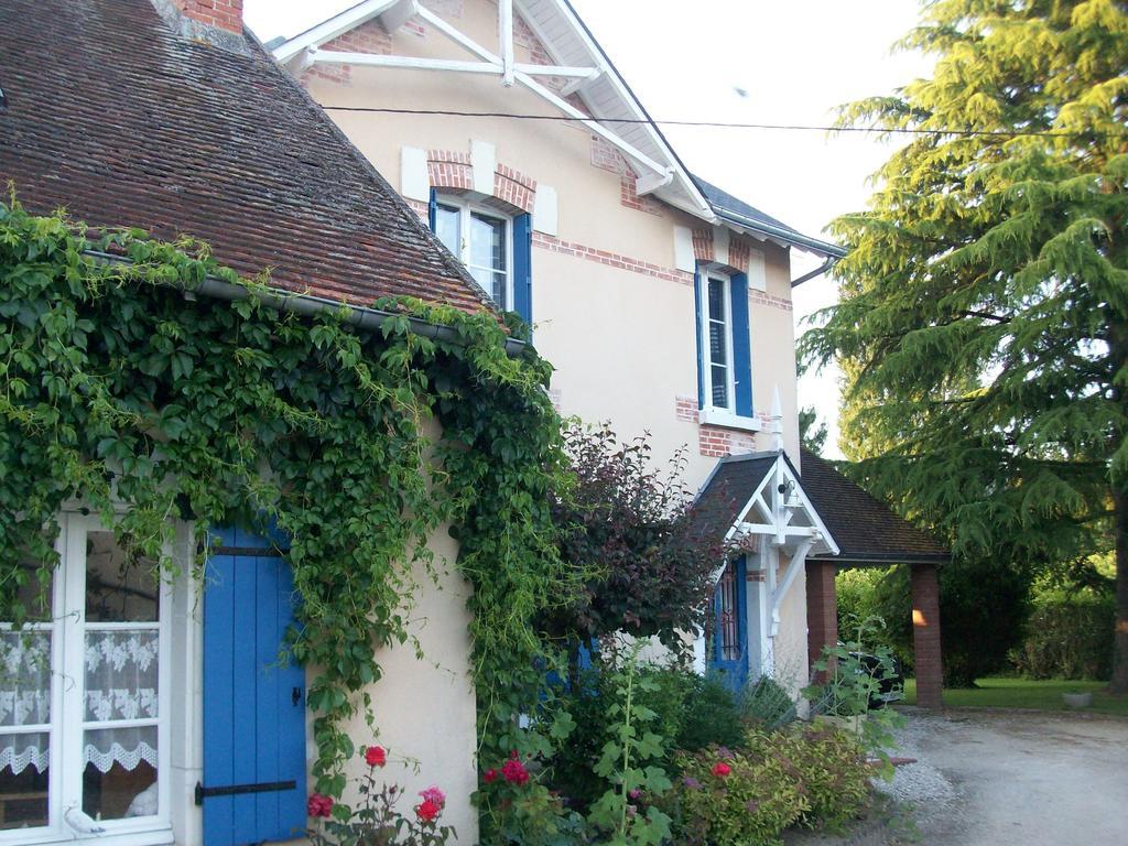 Loire, Chateaux, Et Vignes Onzain Dış mekan fotoğraf